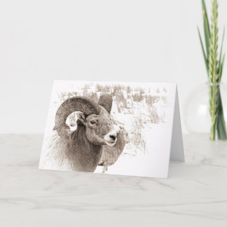BigHorn Sheep Karte
