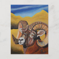 Bighorn Sheep