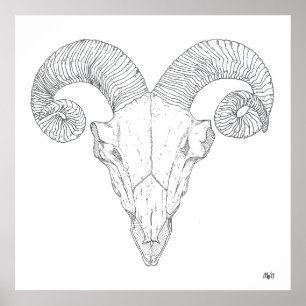 Bighorn Sheep Print (groß) Poster