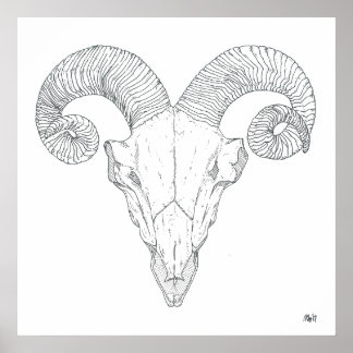 Bighorn Sheep Print (groß) Poster