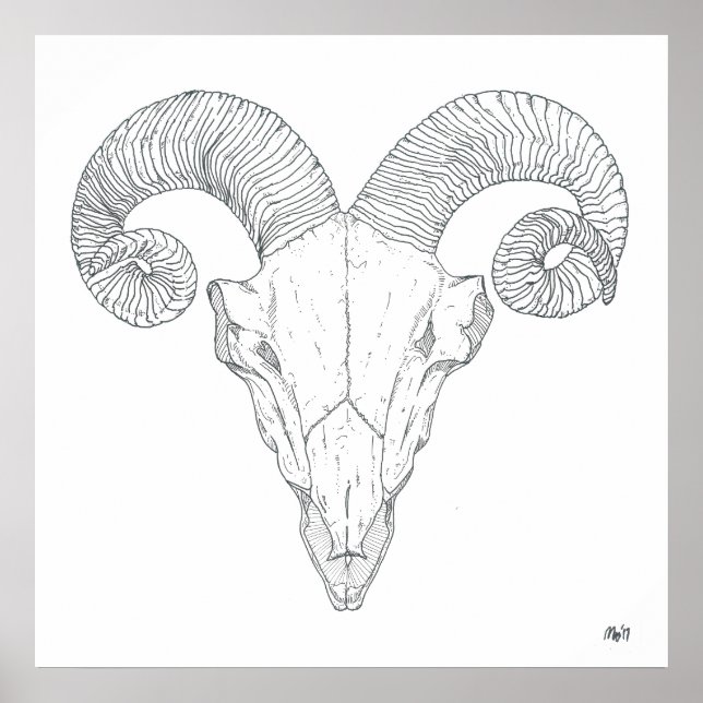 Bighorn Sheep Print (groß) Poster (Vorne)
