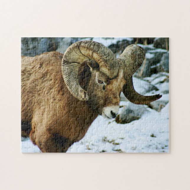 Bighorn Sheep Ram Puzzle (Horizontal)