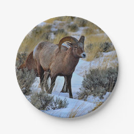 Bighorn Sheep Snow Foto Pappteller