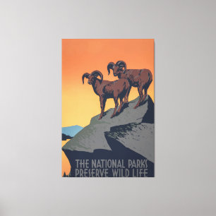 Bighorn Sheep Sunset Poster Leinwanddruck
