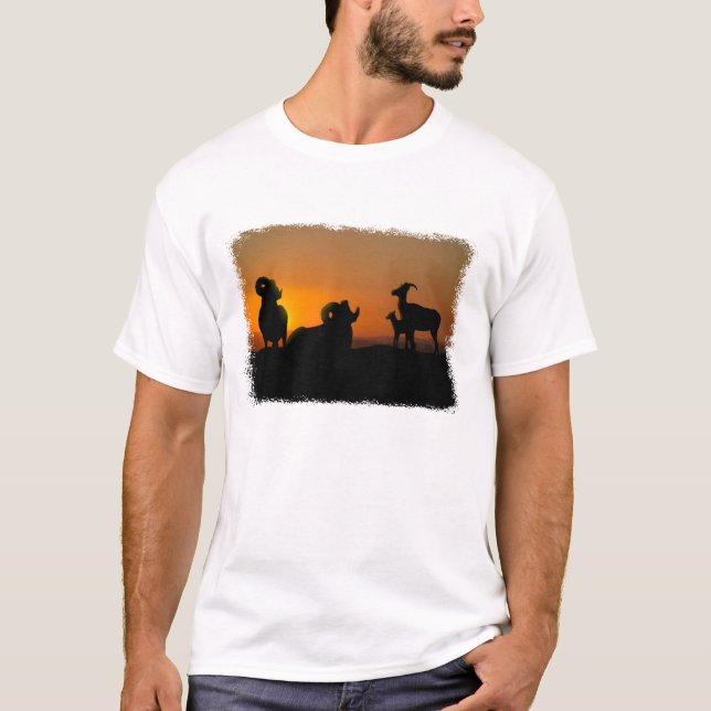 Bighorn Sheep T-Shirt (Vorderseite)