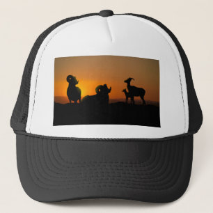 Bighorn Sheep Truckerkappe