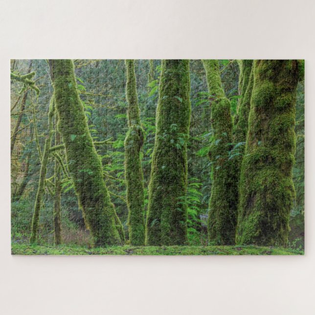 Bigleaf Maple Trees & Ferns | Washingtoner Staat Puzzle (Horizontal)