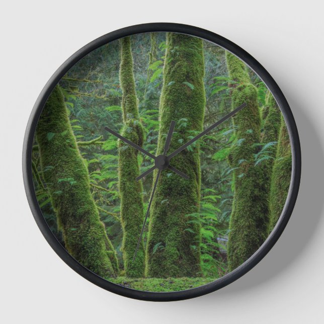 Bigleaf Maple Trees & Ferns | Washingtoner Staat Uhr (Vorderseite)