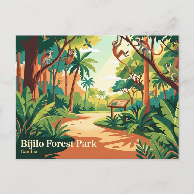Bijilo Forest Park (Affenpark) Gambia Postkarte (Vorderseite)