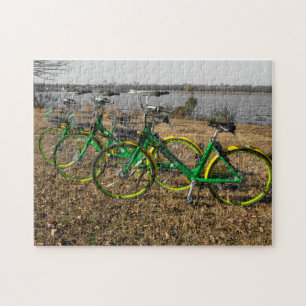 Bike Triplets Puzzle