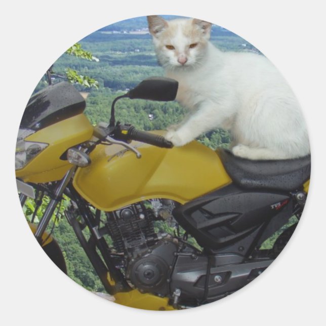 Biker Cat Sticker (Vorderseite)