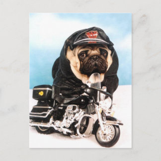 Biker Mops Hund Postkarte