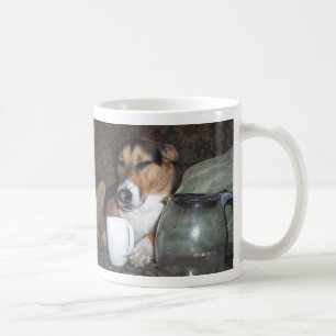 Bild 002, kann ich nicht glauben, dass ich das tasse