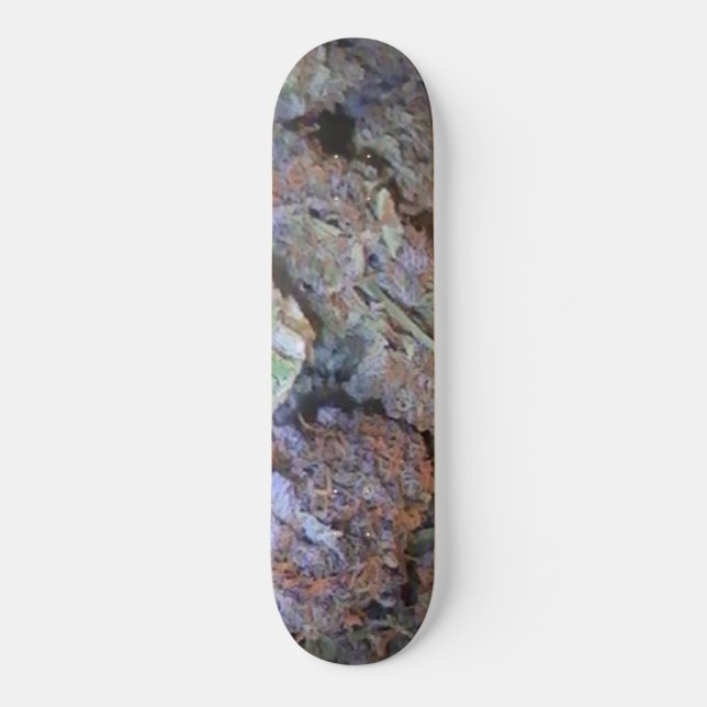 Bild 005 skateboard (Vorderseite)