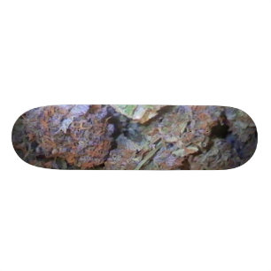 Bild 005 skateboard