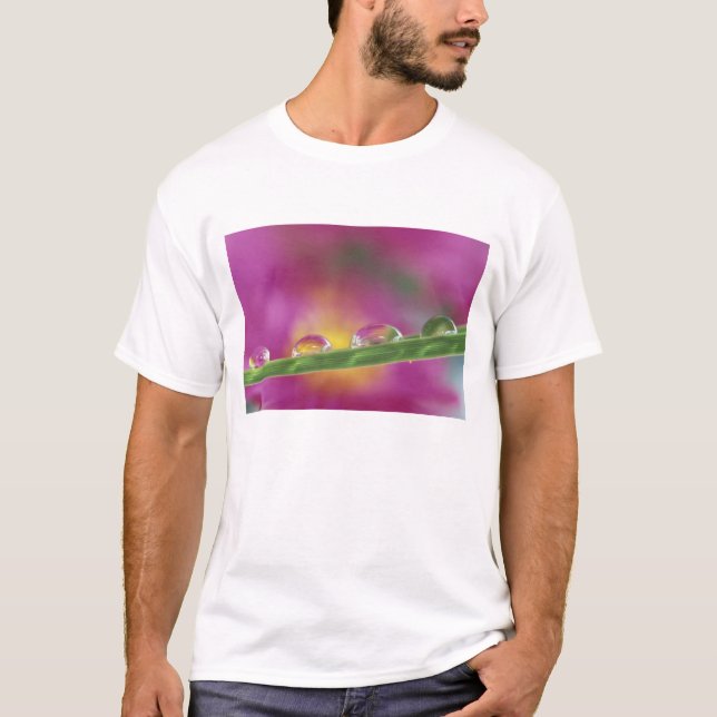 Bild der in Wassertröpfchen gebildeten Aster T-Shirt (Vorderseite)