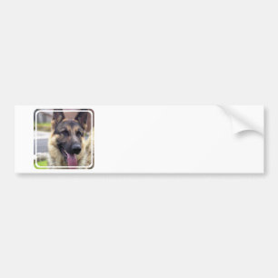 Bild der Schäferhund-Autoaufkleber Autoaufkleber