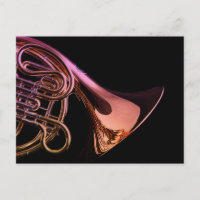 Bild des französischen Horn-Musikinstrumentes