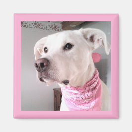 Bild des Niedlichen weißen Welpenhundes mit rosa S Magnet