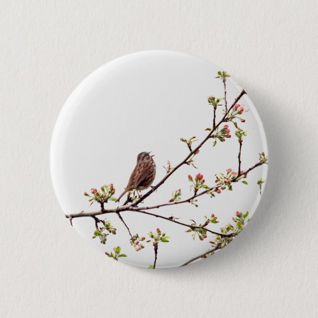 Bild des Spatzen singend in blühendem Baum Button (Vorderseite)