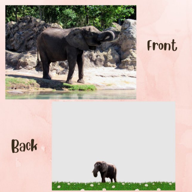 Bild einer afrikanischen Elefantenflatterkarte (elephant flat card)