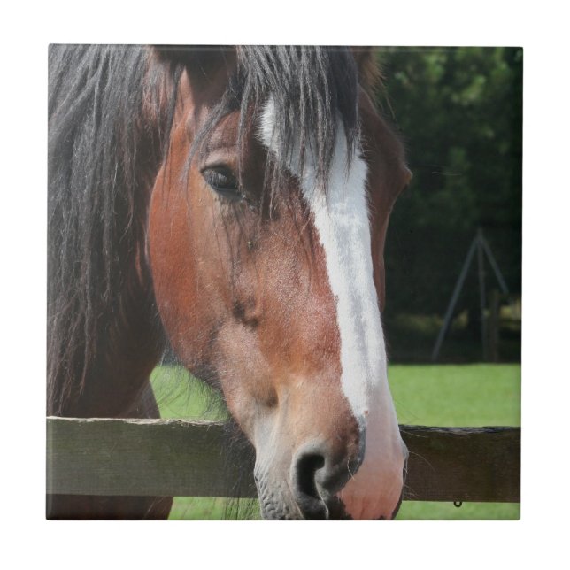 Bild einer Quarterhorse Fliese oder des Trivet (Vorderseite)