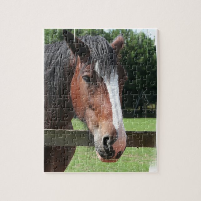 Bild eines Quarterhorse-Puzzlespiels Puzzle (Vertikal)