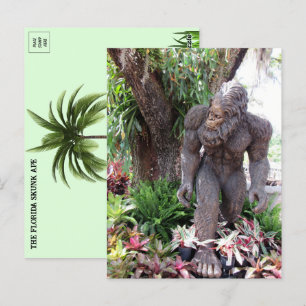 Bild von Florida Skunk Ape Postkarte