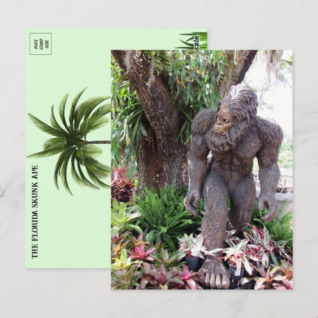 Bild von Florida Skunk Ape Postkarte (Vorne/Hinten)
