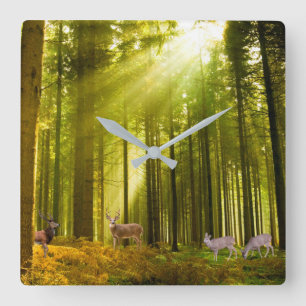 Bild von Wald und Hirsch für die Uhr