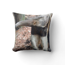 Bildbild des wilden Tieres des Anteater Nase