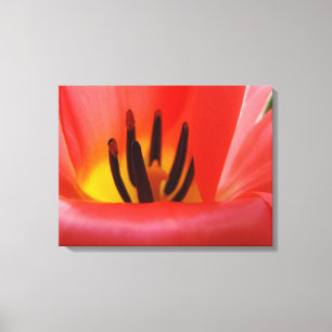 Bildende Kunst-Panel-Leinwand druckt Red Tulip-Blu Leinwanddruck