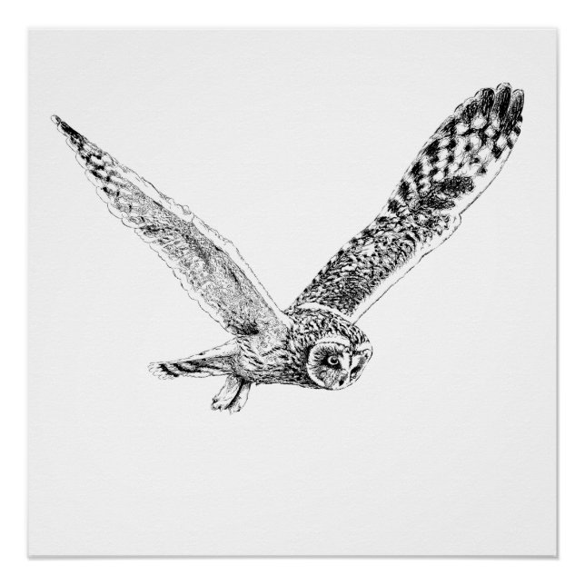 Bildende Owl Illustration Poster drucken (Vorderseite)