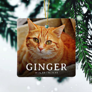 Bilder auf unserem Cat 2-Foto für Herz-Pet Keramikornament