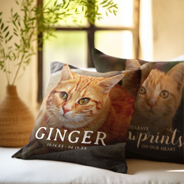 Bilder auf unserem Cat 2-Foto für Herz-Pet Kissen (Von Creator hochgeladen)
