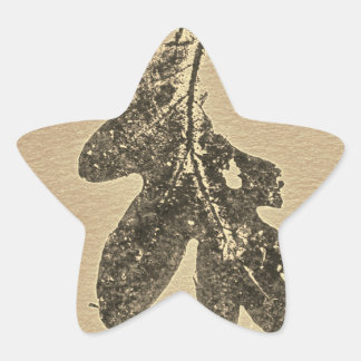Bilder aus direkter Natur-Blatt-Aufkleber Stern-Aufkleber