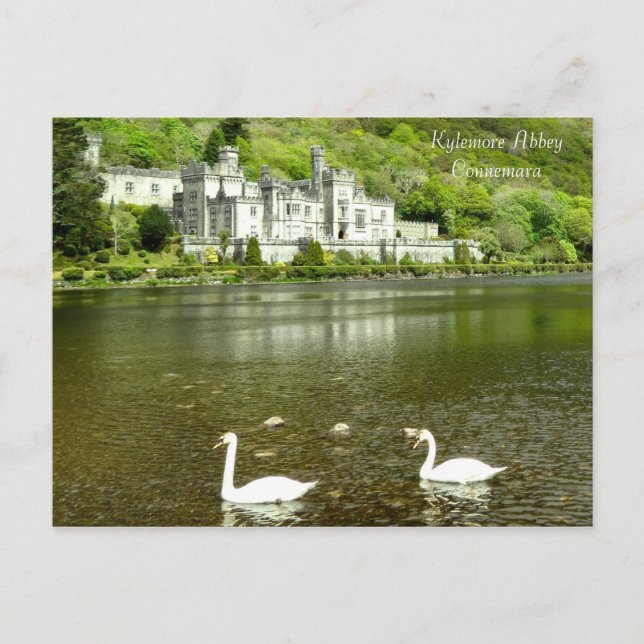 Bilder aus Irland Postkarte (Vorderseite)