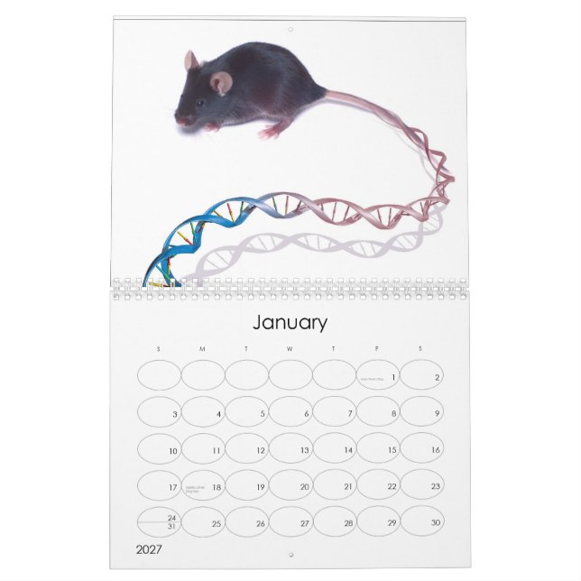 Bilder des Humangenomprojekts Kalender (Jan 2027)