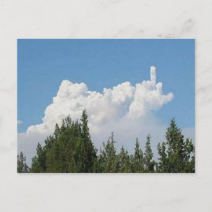 Bilder einer zukunftsweisenden Natur Postkarte