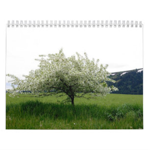 Bilder von Amerika Kalender