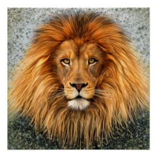 Bilder von Lion Fotografie Paint Art Poster