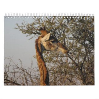 Bilder von Südafrika Kalender