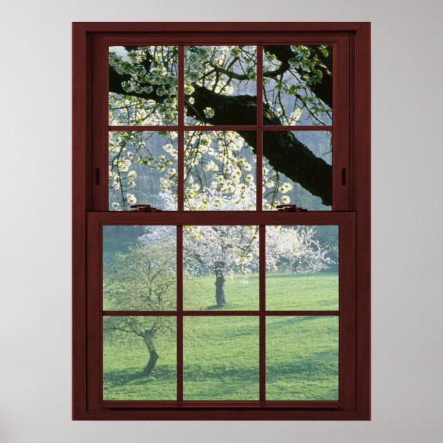 Bildfenster Landschaft - Kirschblüten Poster (Vorne)