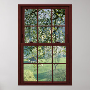 Bildfenster Landschaft - Kirschblüten. Poster