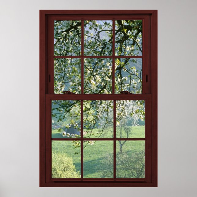 Bildfenster Landschaft - Kirschblüten. Poster (Vorne)
