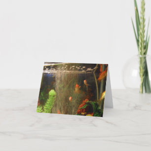 Bildkarte nehmen karte