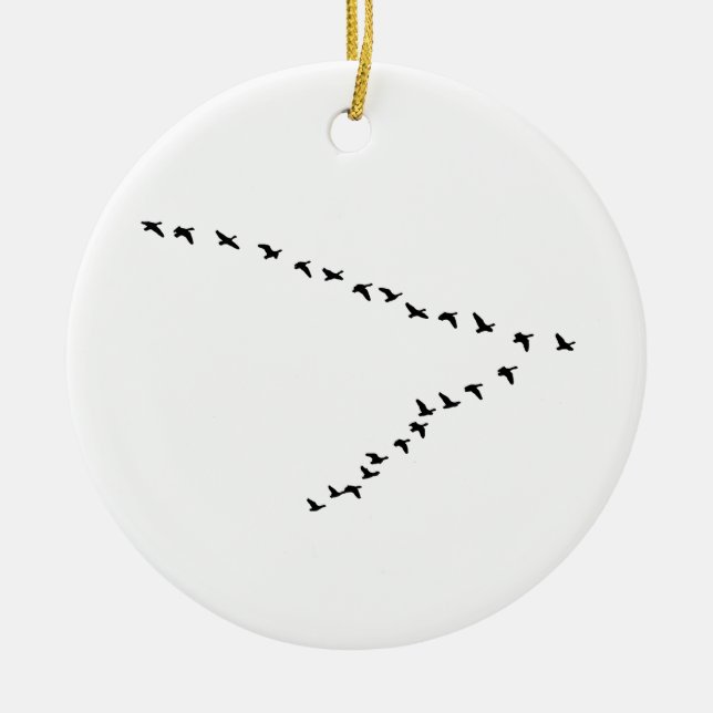 Bildung der Fliegen-Gans-"V" Ornament Aus Metall (Vorne)