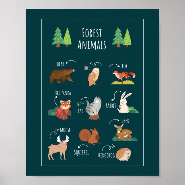 Bildung der Waldtierschule Poster (Vorne)