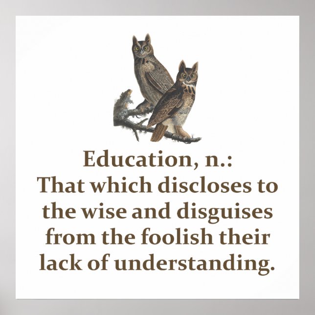 Bildung Noun - Bildung Zitat Poster (Vorne)