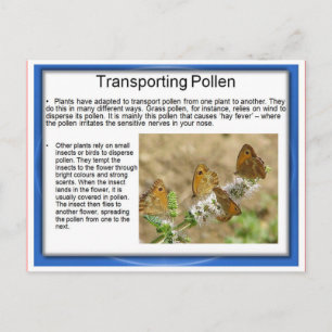 Bildung, Wissenschaft, Leben, Transport von Pollen Postkarte